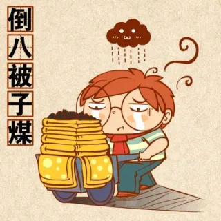 倒八被子煤