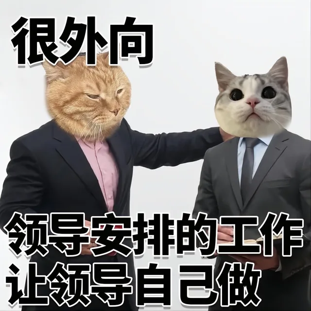 很外向领导安排的工作让领导自己做