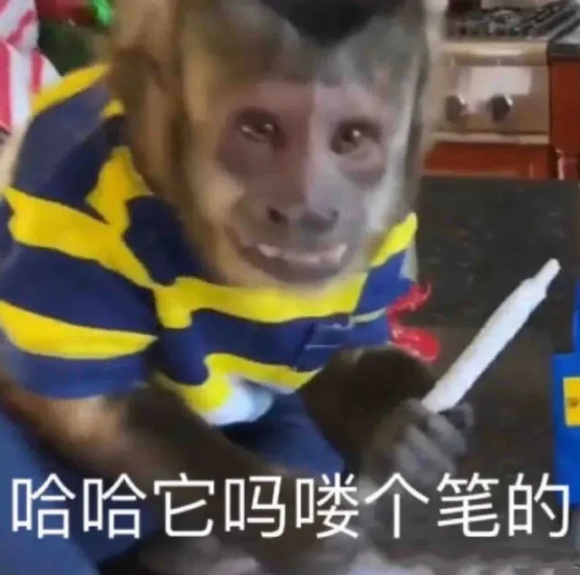 哈哈它吗喽个笔的（哈哈它吗喽个笔的）