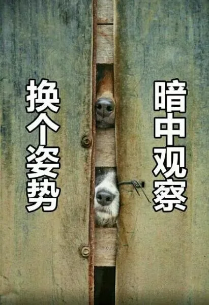 换个姿势，暗中观察