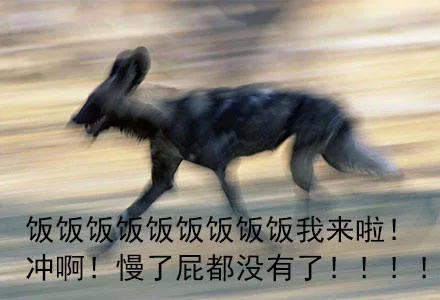 饭饭饭饭我来啦！冲啊，慢了屁都没有了！