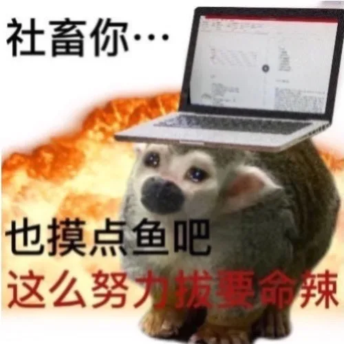 社畜你…也摸点鱼吧这么努力拔要命辣（社畜你…也摸点鱼吧这么努力拔要命辣）