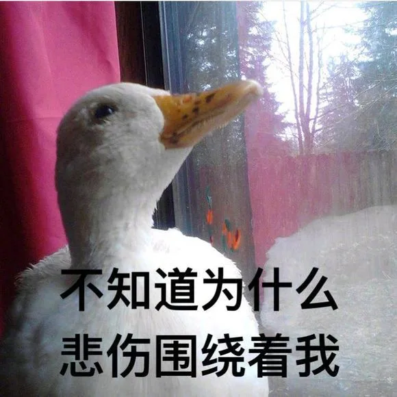 不知道为什么悲伤围绕着我（不知道为什么悲伤围绕着我）