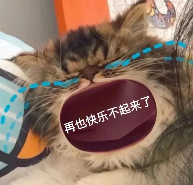 再也快乐不起来了（再也快乐不起来了）