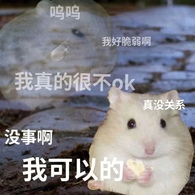 呜呜我好脆弱啊我真的很不ok真没关系没事啊我可以的(鼠鼠表情包)（呜呜我好脆弱啊我真的很不ok真没关系没事啊我可以的(鼠鼠表情包)）