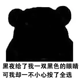 黑夜给了我一双黑色的眼睛，可我却一不小心按了全选