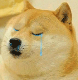 流泪神烦柴犬
