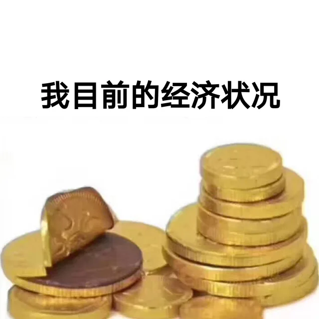 我目前的经济状况