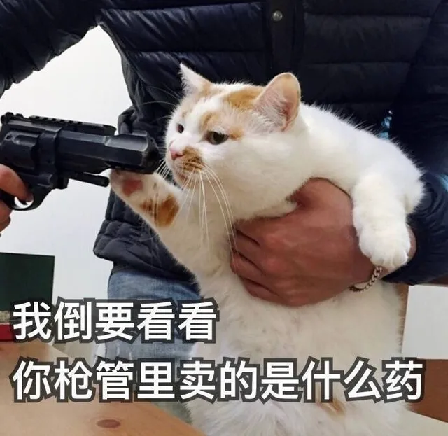 我倒要看看你枪管里卖的是什么药