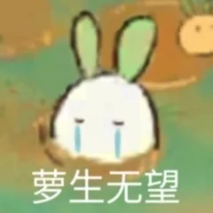 萝生无望（萝生无望）