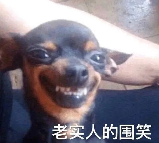 老实人的围笑（老实人的围笑）