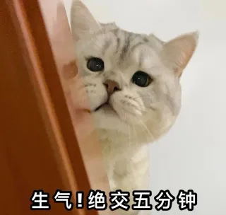 生气！绝交五分钟！我们和好吧_猫咪_撩妹撩汉表情包