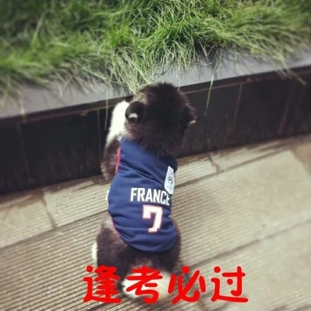 逢考必过