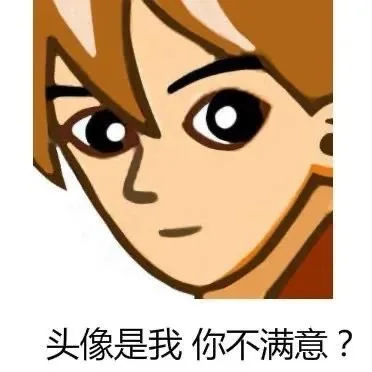 头像是我你不满意?（头像是我你不满意?）