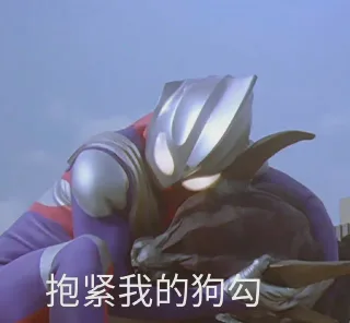 抱紧我的狗勾
