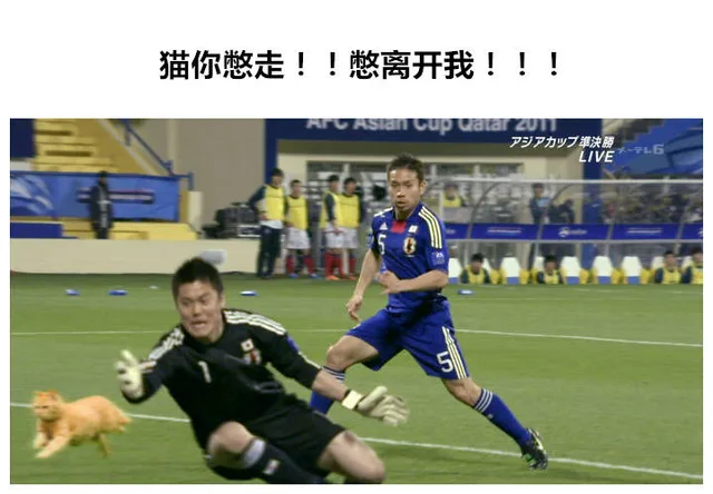 猫你憋走!!憋离开我!!!力少準決勝（猫你憋走!!憋离开我!!!力少準決勝）