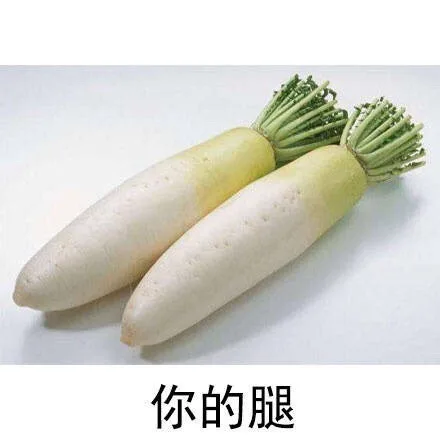 你的腿（你的腿）