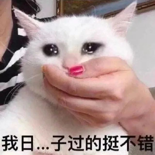 我日…子过的挺不错（我日…子过的挺不错）