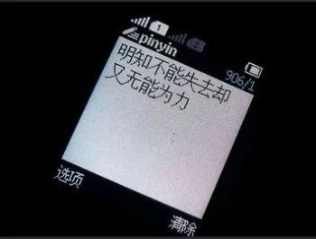 明知不能失去却又无能为力（明知不能失去却又无能为力）
