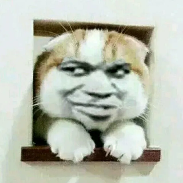 变脸猫偷看（变脸猫偷看）