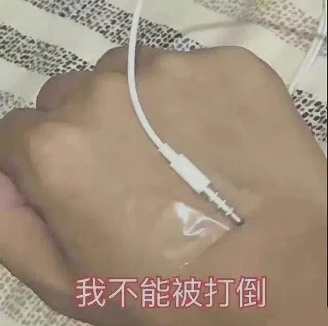 我不能被打倒（我不能被打倒）