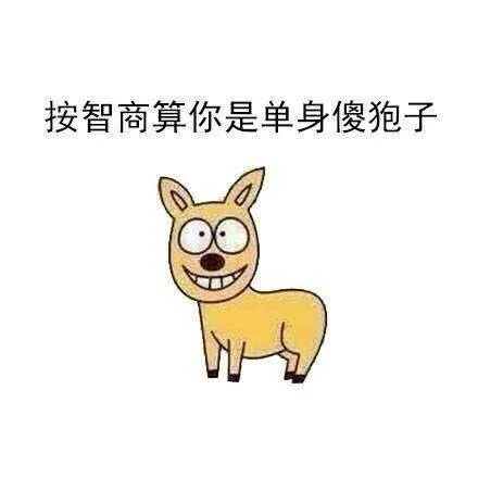 按智商算你是单身傻狍子