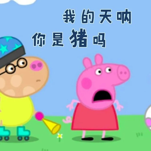 我的天呐，你是猪吗（我的天呐，你是猪吗）