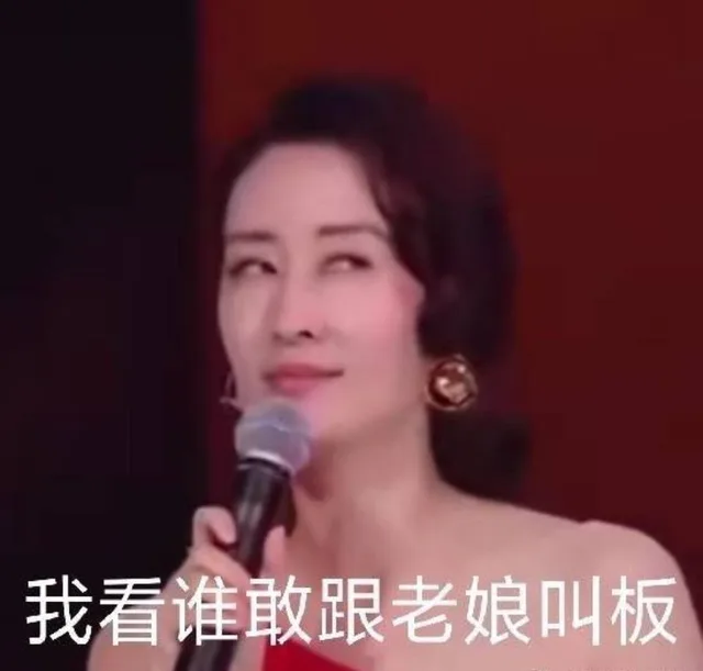 我看谁敢跟老娘叫板(刘敏涛表情包)（我看谁敢跟老娘叫板(刘敏涛表情包)）