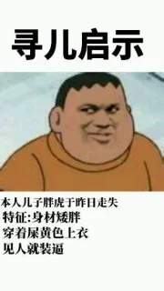 寻儿启事：本儿子胖虎于昨日走失。特征：身材矮胖，穿着屎黄色上衣，见人就装逼
