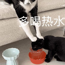 喝热水（喝热水）