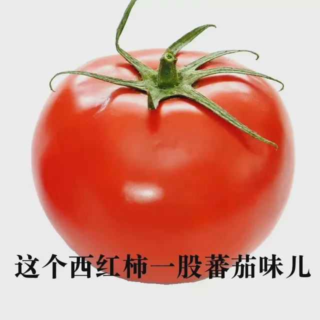 这个西红柿一股蕃茄味儿