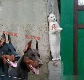 我汉语古代文学(汉语言)