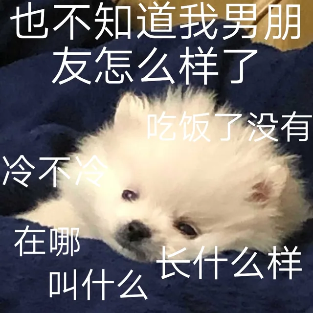 也不知道我男朋友怎么样了吃饭了没有冷不冷在哪长什么样叫什么（也不知道我男朋友怎么样了吃饭了没有冷不冷在哪长什么样叫什么）