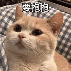 要抱抱（要抱抱）