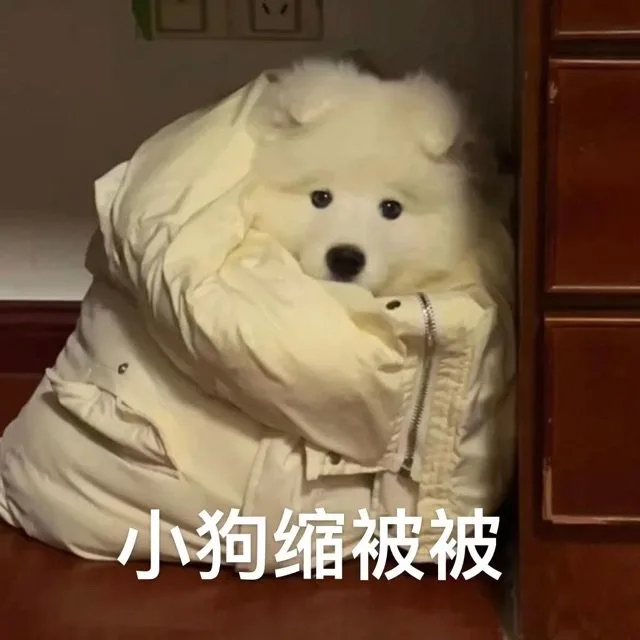 小狗缩被被（小狗缩被被）
