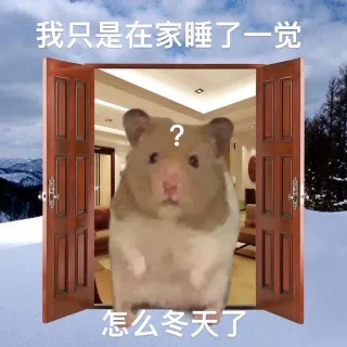 我只是在家睡了一觉怎么冬天了