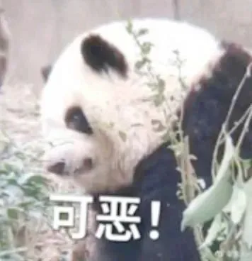 可恶!