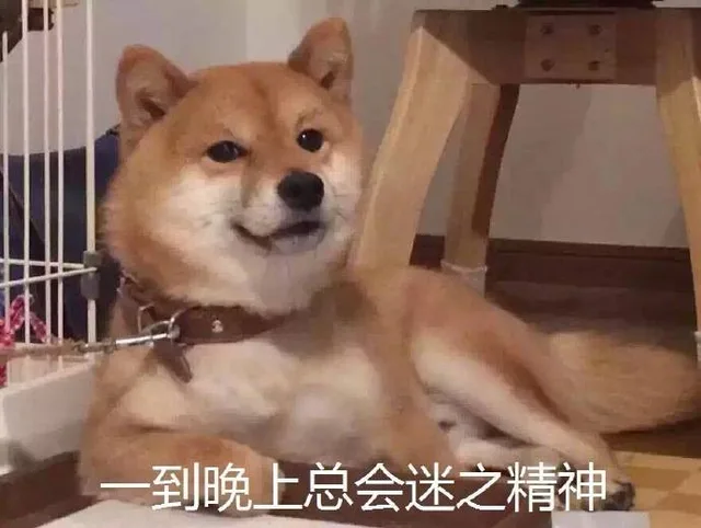 一到晚上总会迷之精神（狗子）