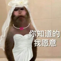 你知道的我愿意（你知道的我愿意）