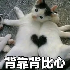 背靠背比心（背靠背比心）