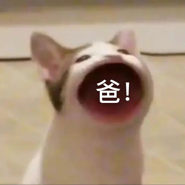 爸（爸）