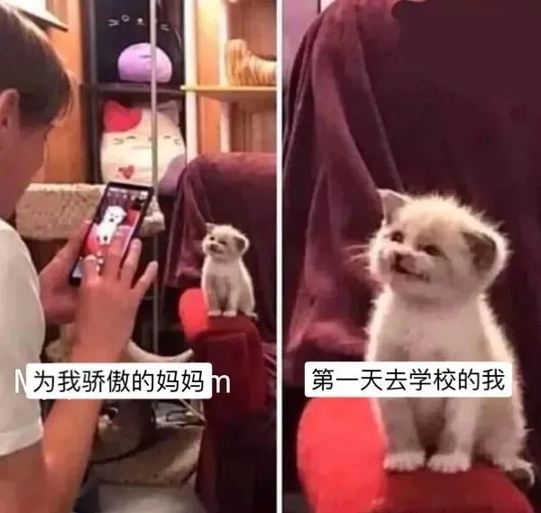 妈妈