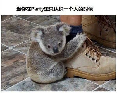 当你在Party 里只认识一个人的时候