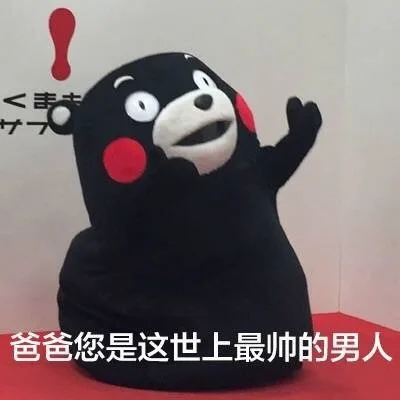 爸爸您是这世上最帅的男人