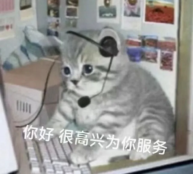 你好很高兴为你服务（你好很高兴为你服务）