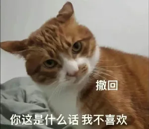 撤回你这是什么话我不喜欢（撤回你这是什么话我不喜欢）