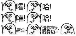 嚯哈！嚯哈！是谁，送你来到我身边！