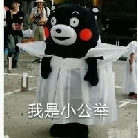 我是小公举（我是小公举）