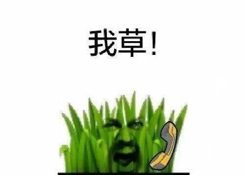 我草！