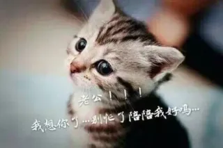 老公！！！我想你了。。。别忙了陪陪我好吗